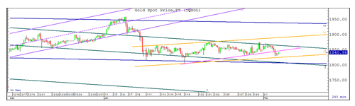 ylg gold chart goldaround 03.02