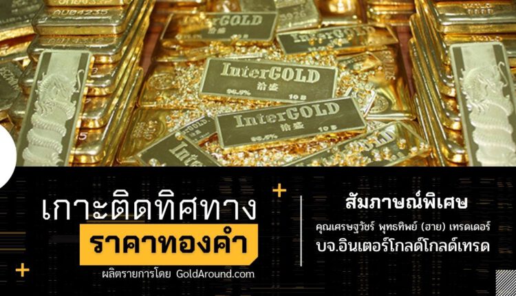 เศรษฐวัชร์ พุทธทิพย์ (ฮาย) เทรดเดอร์อินเตอร์โกลด์