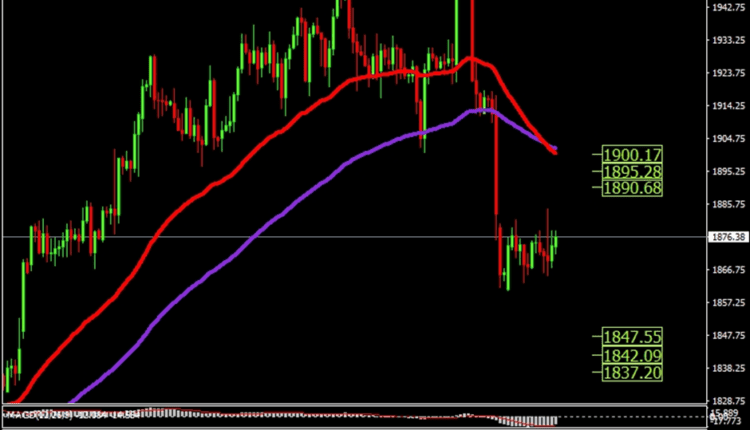 gold price chart