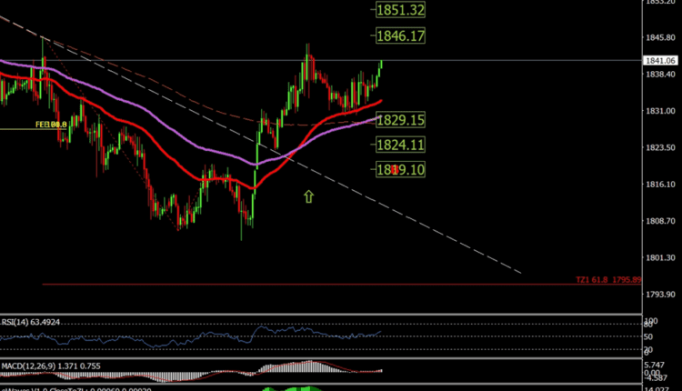 Gold Price Chart