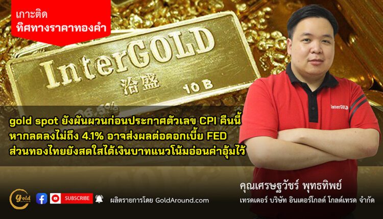 เศรษฐวัชร์ พุทธทิพย์ (ฮาย) เทรดเดอร์อินเตอร์โกลด์