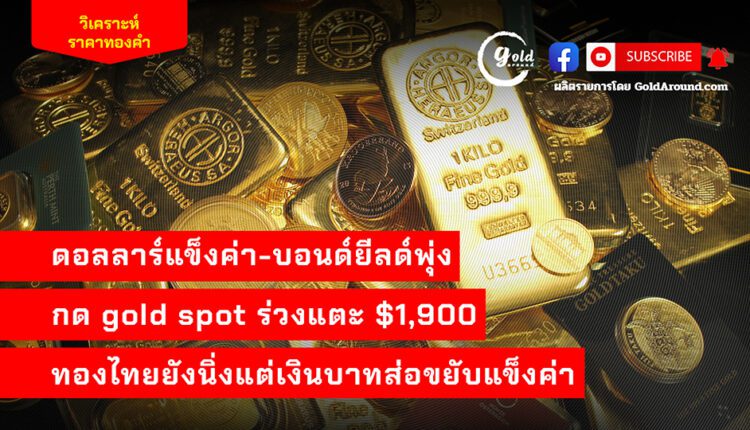 Gold Around Podcast 15 Aug 2023